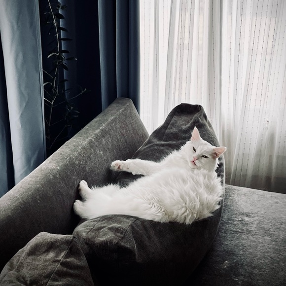 Meet your Posher, Gab - Picture 1 of 9